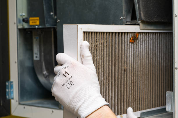 Best Affordable Air Duct Cleaning  in India Hook, SC